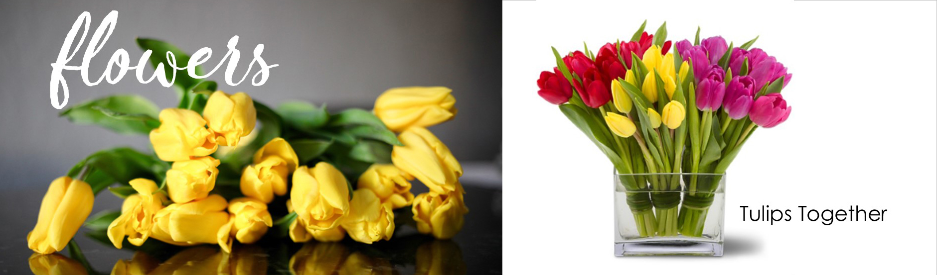 bannerflowersspring23