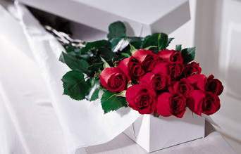 Premium Roses Gift Boxed