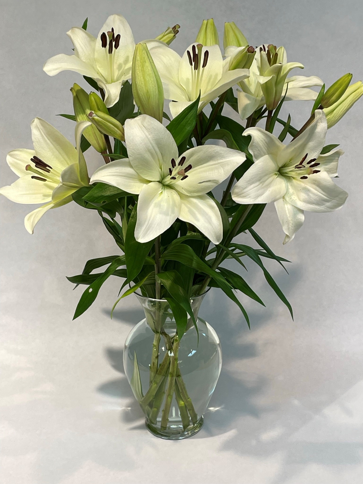 Asiatic Lilies In White 