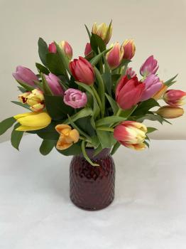 Tulips_mixed